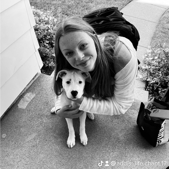 Meet your Posher, Addi - Picture 2 of 3